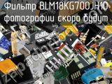 Фильтр BLM18KG700JH1D