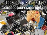 Термистор RB103K0J 