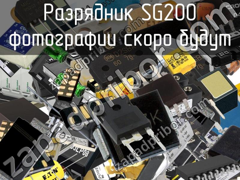 Разрядник SG200 фотография.