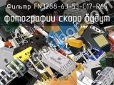 Фильтр FN3288-63-53-C17-R65 