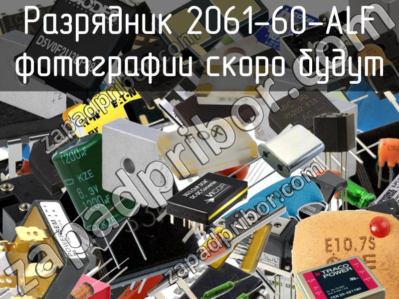 Разрядник 2061-60-ALF фотография.