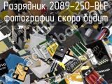2089-250-BLF