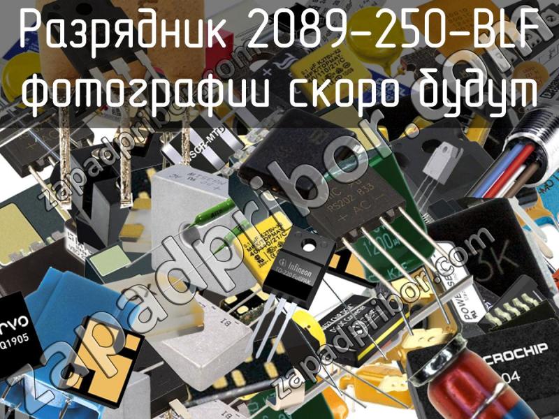 Разрядник 2089-250-BLF фотография.