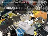 Ферритовий сердечник FSRB090080RNB00B