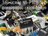 Термистор NB-PTCO-142 