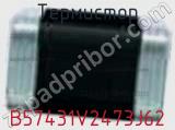 Термистор B57431V2473J62 фотография 2.