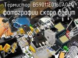Термистор B59011E0160A040 