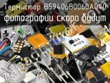 Термистор B59406B0060A040