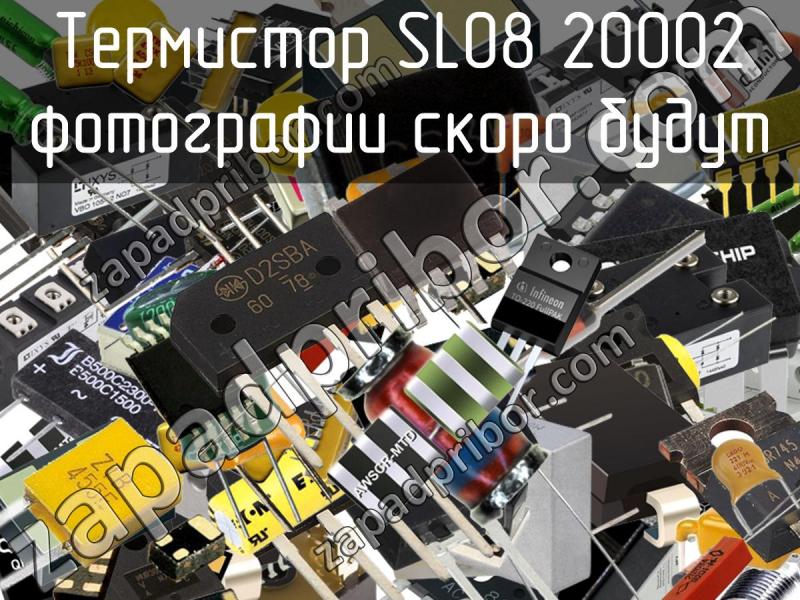 Термистор SL08 20002 фотография.
