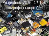 Разрядник 2036-47-BLF