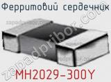 Ферритовий сердечник MH2029-300Y фотография 2.