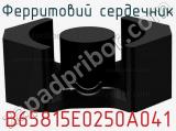 Ферритовий сердечник B65815E0250A041 фотография 2.