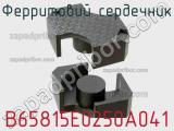 Ферритовий сердечник B65815E0250A041 фотография 3.