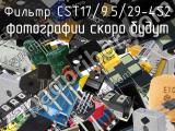 Фильтр CST17/9.5/29-4S2 