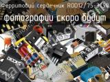 Ферритовий сердечник ROD12/75-3C90