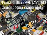 Фильтр B84299D1251E103