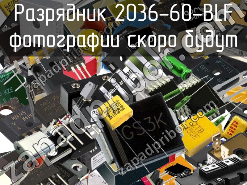 Разрядник 2036-60-BLF фотография.