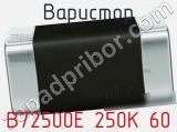 B72500E 250K 60