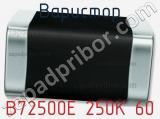 Варистор B72500E 250K 60 фотография 2.