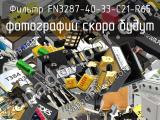 Фильтр FN3287-40-33-C21-R65