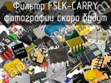 Фильтр FSLK-CARRY 
