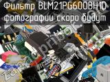 Фильтр BLM21PG600BH1D