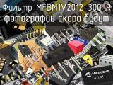 Фильтр MFBM1V2012-300-R 