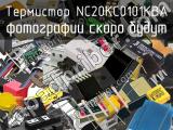 Термистор NC20KC0101KBA 