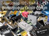 Термистор 120-104KAJ-P01 