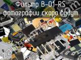 Фильтр B-01-RS