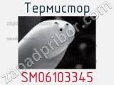 Термистор SM06103345 