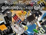 Феррит MS-090125-2 