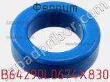 Феррит B64290L0674X830 фотография 2.