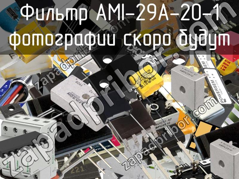 Фильтр AMI-29A-20-1 фотография.