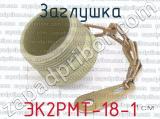 ЭК2РМТ-18-1 фотография 2 заглушки. 