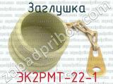 ЭК2РМТ-22-1 фотография 2 заглушки. 