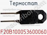 Термостат F20B100053600060 фотография 2.