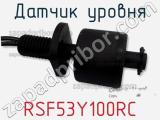 Датчик уровня RSF53Y100RC фотография 3.