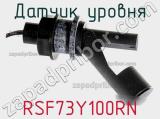 Датчик уровня RSF73Y100RN фотография 2.