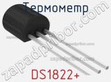 Термометр DS1822+ 