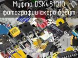 Муфта DSK481010 
