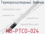 Терморезисторный датчик NB-PTCO-024 