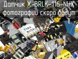 Датчик X-BRLK-116-NHX 