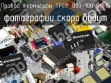 Провод термопары TFCY-003-100-ROHS