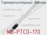 Терморезисторный датчик NB-PTCO-170