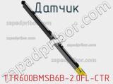 Датчик TTR600BMSB6B-2.0FL-CTR 