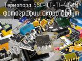 Термопара 5SC-TT-TI-40-1M 