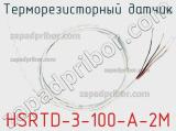 Терморезисторный датчик HSRTD-3-100-A-2M