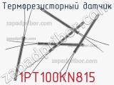 Терморезисторный датчик 1PT100KN815 