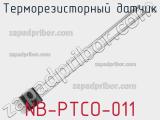 Терморезисторный датчик NB-PTCO-011 